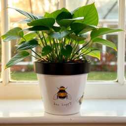 Decoupaged Flower Pot, Bird Design, Handmade Plant Planter - thumbnail 3