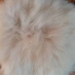 Sheepskin Seat Cushion - thumbnail 3