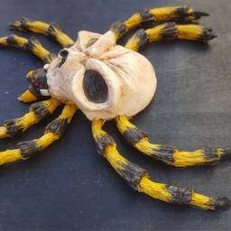 Skulltula Spider - thumbnail 2