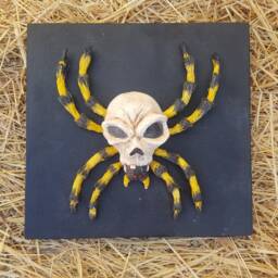 Skulltula Spider - thumbnail 4
