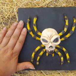 Skulltula Spider - thumbnail 3