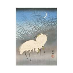Japanese Ukiyo-E Art Print Poster Woodblock Wall Koson Shoson Heron Crane Egret Bird Tattoo Beautiful Japan Calligraphy Nature Calm A3 - thumbnail 1
