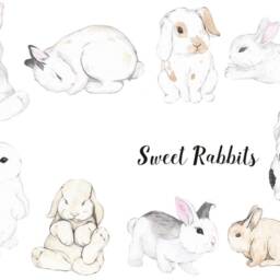 Bunnies Wall Decal, Decor For Children, Sticker, Removable Bunny Rabbit Kids Room Decoration - thumbnail 2
