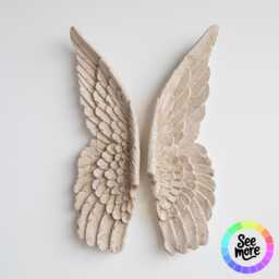 xl Faux Taxidermy Angel Wings - Wall Decor - thumbnail 1