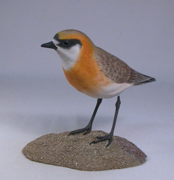 Mongolian Plover Hand Carved & Painted Water Bird - image 1