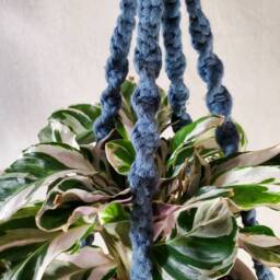 Fringed Plant Hanger - thumbnail 3