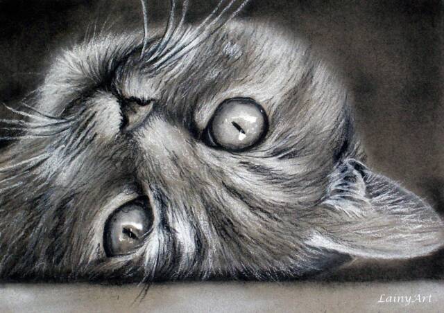 Cat Portrait Realistic Hand Painted From Photo, Custom Pastel Pet Portrait, Parent Gift - image 1
