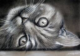 Cat Portrait Realistic Hand Painted From Photo, Custom Pastel Pet Portrait, Parent Gift - thumbnail 1
