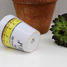 Personalised Teacher Plant Pot Ruler Design, Thank You Gift - thumbnail 2