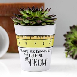 Personalised Teacher Plant Pot Ruler Design, Thank You Gift - thumbnail 3
