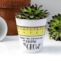 Personalised Teacher Plant Pot Ruler Design, Thank You Gift - thumbnail 1
