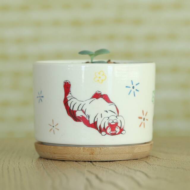 Year Of The Tiger Ceramic Succulent Planter With Bamboo Tray - image 1