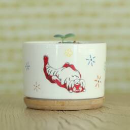 Year Of The Tiger Ceramic Succulent Planter With Bamboo Tray