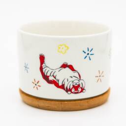 Year Of The Tiger Ceramic Succulent Planter With Bamboo Tray - thumbnail 3