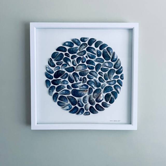 Cornish Mussel Shell Wall Art Extra Large Framed Picture Beach House Decor Handmade in Cornwall - image 1