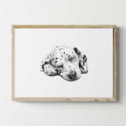 Sleeping Dalmatian Print, Dog Vintage Sketch, Farmhouse Decor, Gifts - thumbnail 1