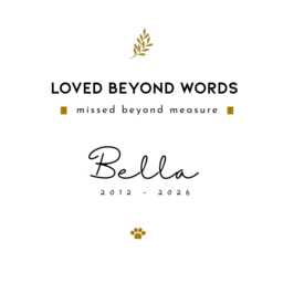 Love Beyond Words Pet Memorial Candle Gift, Personalised Dog Cat Loss Remembrance Keepsake - thumbnail 2