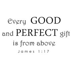 Every Good & Perfect Gift Wall Decal - Baby Nursery Quote Christian Scripture Bible Verse For Nurser- 054 - thumbnail 3
