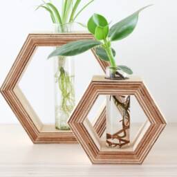 Hexagon Shaped Planter Made Out Of Wood With Glass Tube - For Flowers Or As Propagation Station Plants Wall Decor Flower Vase - thumbnail 3