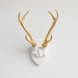 Faux Taxidermy Antler Rack Trophy Mount - Wall Decor White & Gold Ht0108 - thumbnail 1