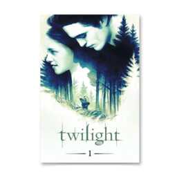 Twilight Movie Poster, High Quality Canvas Print Art Posters, Gift For Her, Him, Unframed - thumbnail 3