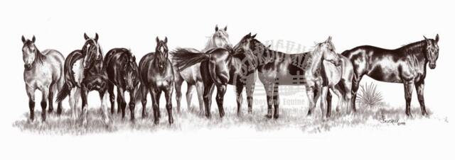The Remuda Horse Limited Edition Art Print By B.bruckner in Graphite Pencil - image 1