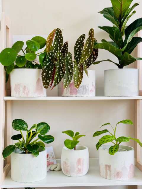 Cache Pot Trendy Very Peri - Purple Lilac Shades Cracked Abstract Indoor Plant - image 1