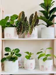 Cache Pot Trendy Very Peri - Purple Lilac Shades Cracked Abstract Indoor Plant