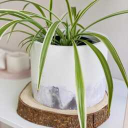 Cache Pot Trendy Very Peri - Purple Lilac Shades Cracked Abstract Indoor Plant - thumbnail 2