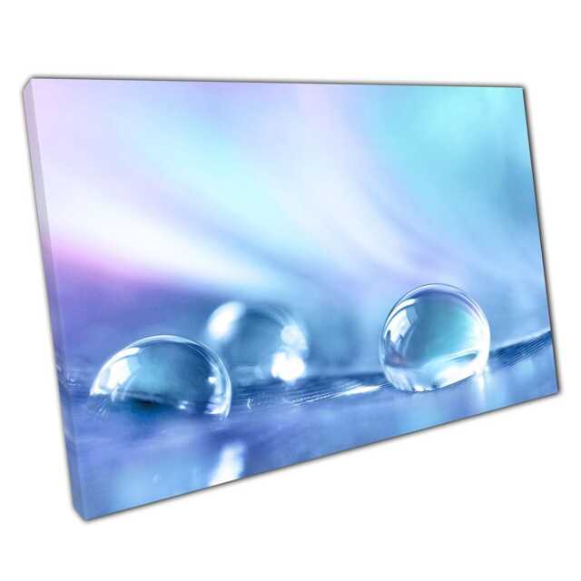 Mesmerizing Raindrop Feather Macro Canvas Tranquil Nature Photography For Home & Office Walls - image 1