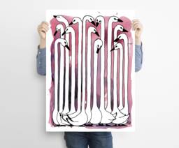 Swan, Pink, Birds, Neck, Head, Tail, Black, Conversation, Goose. Ink, Watercolour. Art Print A4, Poster, Illustration, Decoration, Kids Room - thumbnail 1