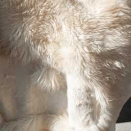 Custom Sheepskin Rug - Non-Toxic, Natural Ivory Carpet - thumbnail 3