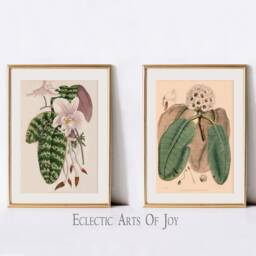 Victorian Botanical Prints, Orchid, Foliage, Floral Wall Art - Set Of 2 - thumbnail 2