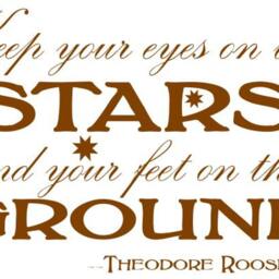 Keep Your Eyes On The Stars & Feet Ground Quote From Theodore Roosevelt Vinyl Wall Decal E00068 - thumbnail 3