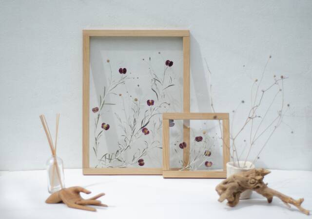 Framed Wall Art Set - Botanicals Real Dried Flowers Pressed Flowers Herbarium Flower Frame Wall Decor - image 1