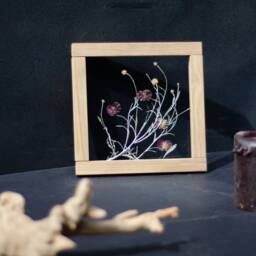 Framed Wall Art Set - Botanicals Real Dried Flowers Pressed Flowers Herbarium Flower Frame Wall Decor - thumbnail 4