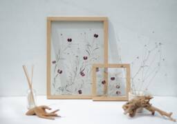 Framed Wall Art Set - Botanicals Real Dried Flowers Pressed Flowers Herbarium Flower Frame Wall Decor - thumbnail 1