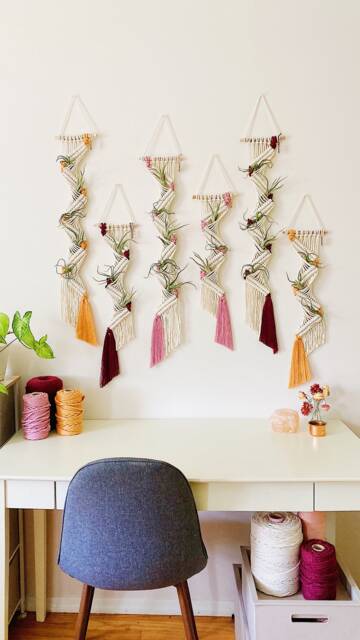 Air Plants & Plant Holder Set/Air Hanger/Macrame Hanger/Multiple Display/Air Terrarium/Plant Hanger - image 1