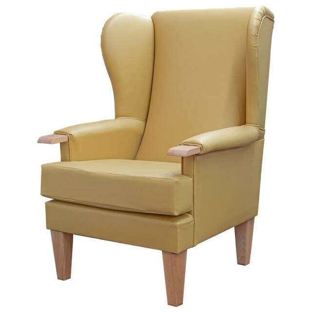 Manuka Yellow Faux Leather Wingback Chair Hospitality & Care Edition - image 1