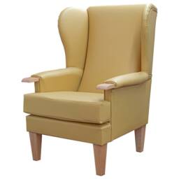Manuka Yellow Faux Leather Wingback Chair Hospitality & Care Edition - thumbnail 1