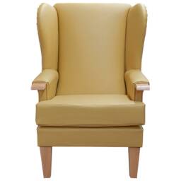 Manuka Yellow Faux Leather Wingback Chair Hospitality & Care Edition - thumbnail 2