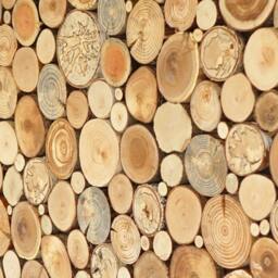 Round Wood Slice Wall Art Modern Tree Rounds Decor - 34'' - thumbnail 3