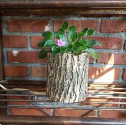 Log Vase Plant Holder - Water Resistant Or Natural Hollowed Tree Indoor Wood Pot Rustic Unique Gift For Him Her Utensil Storage - thumbnail 1