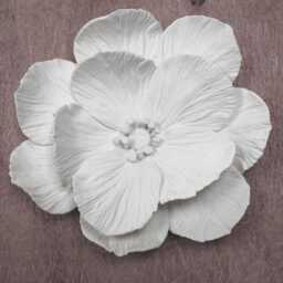 Anemone Flower Wall Sculpture - White Floral Art Home Styling Decor - thumbnail 3