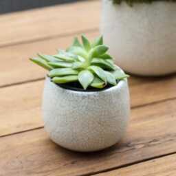 White Crackle Ravello Plant Pot - Ceramic Glazed Planter Home Decor Stoneware 2 Sizes - thumbnail 2