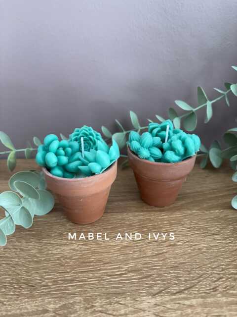 Soy Wax Succulent Candle Set Terracotta Pot Sculpture - image 1