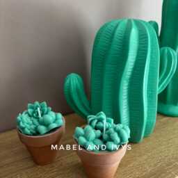 Soy Wax Succulent Candle Set Terracotta Pot Sculpture - thumbnail 3