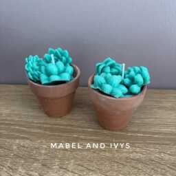 Soy Wax Succulent Candle Set Terracotta Pot Sculpture - thumbnail 2