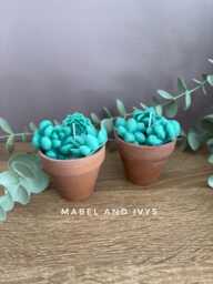 Soy Wax Succulent Candle Set Terracotta Pot Sculpture - thumbnail 1