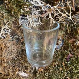 Bayberry Wax Prosperity Blessing Holiday Votive Candle - thumbnail 3
